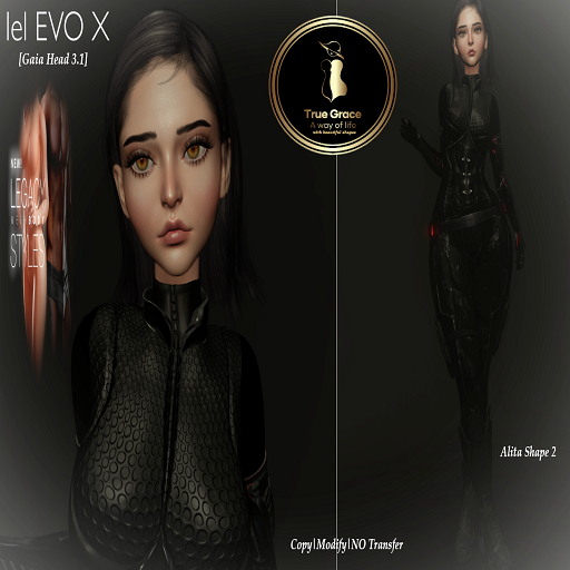 Alita shape 2