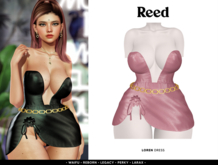 REED - LOREN // ROSE