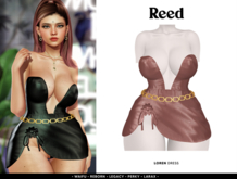 REED - LOREN // BROWN