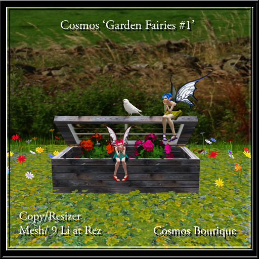 Cosmos Garden Fairies #1 (BOX)