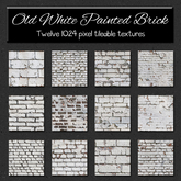 *Wallflowers* Old White Painted Brick