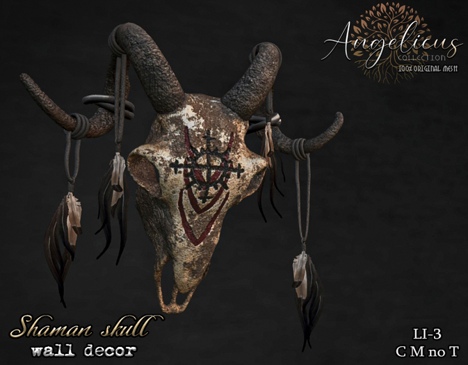 .AngelicUs. Shaman skull
