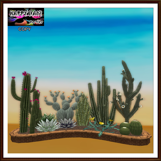 Summer - Cactus Garden