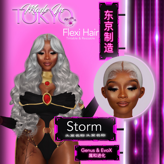 Mnt:// Storm Unit
