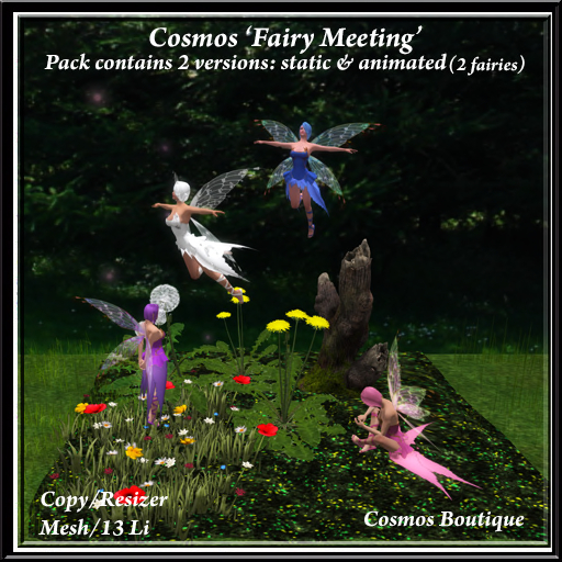 Cosmos 'Fairy Meeting' (BOX)