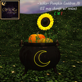 ~WiRa~ Pumpkin Cauldron (Box)