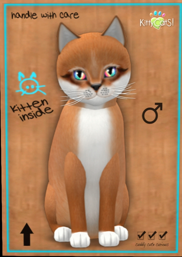 KittyCatS - Foxie - Auburn