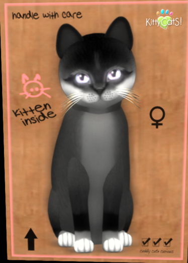 KittyCatS - Foxie - Soft Black