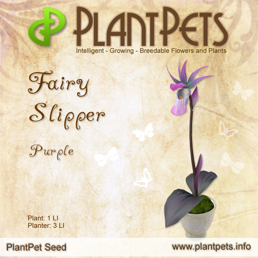 PlantPet Seed [Fairy Slipper *Purple*]