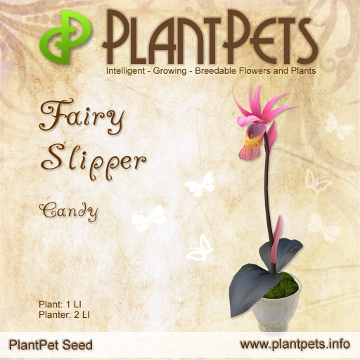 PlantPet Seed [Fairy Slipper *Candy*]
