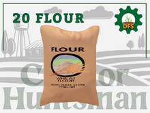 DFS Bulk 20 Flour