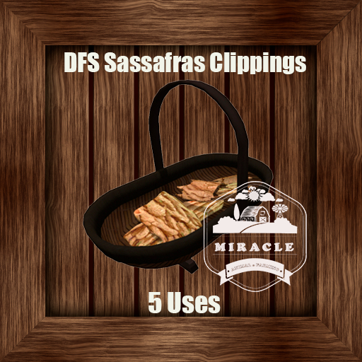 DFS Sassafras Clippings