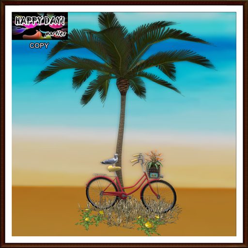 Summer - Tropical Bike