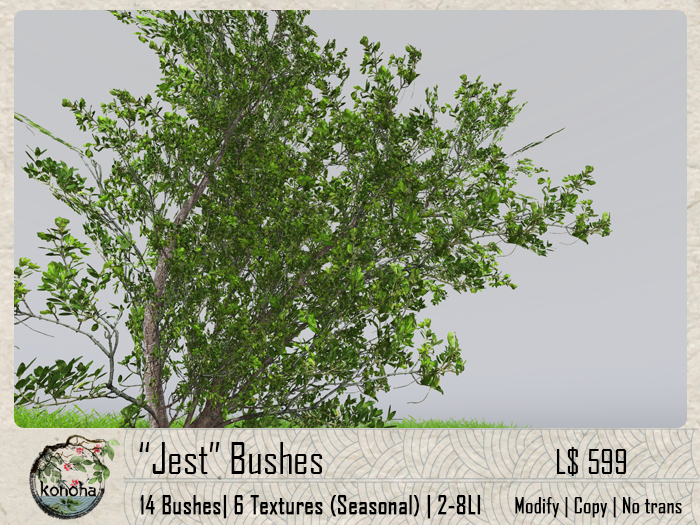 Konoha - "Jest" Bushes [vcp.006nglo]