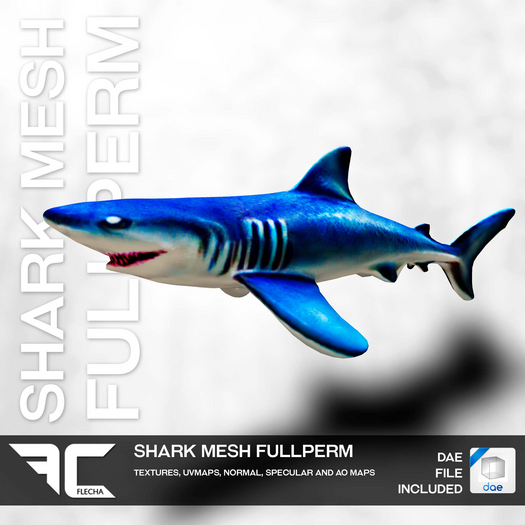 FLECHA Shark Fullperm