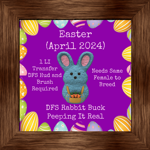 DFS Rabbit Buck - Peeping It Real (April 2024)