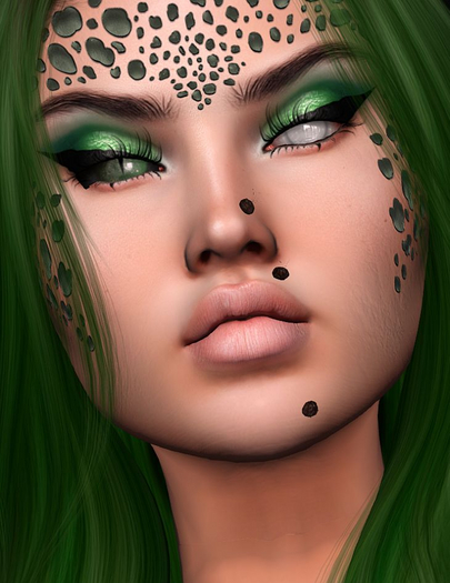 Mesh Witch Wart with hairs (add)