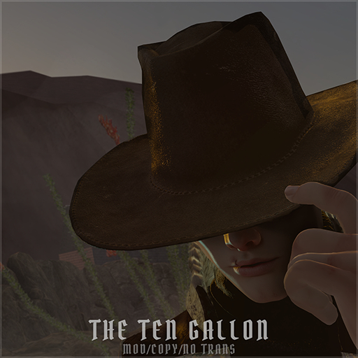 Ten Gallon Hat 