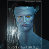 Pandora Male Shape (Detailed Style Card Included)