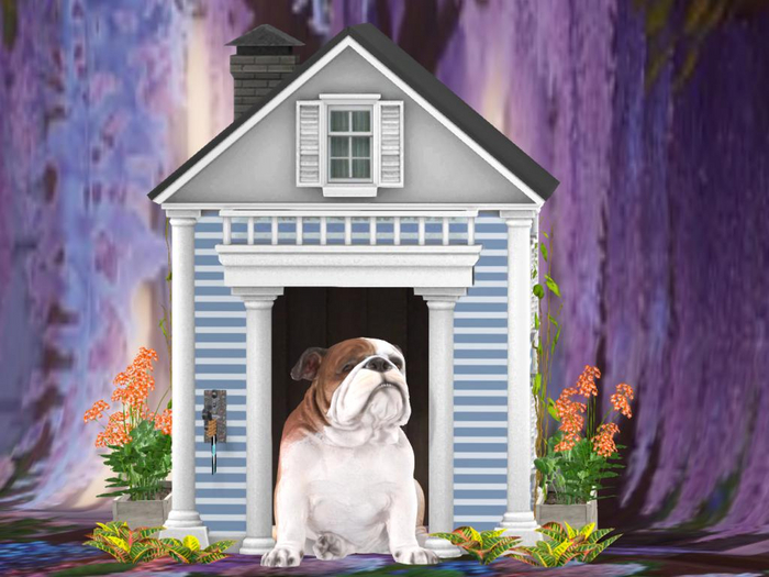 BULL DOG HOUSE