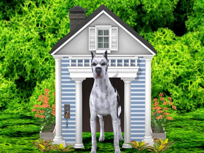 GREAT DANE DOG HOUSE