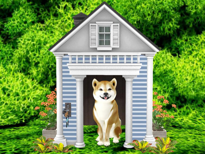 Shiba Dog House