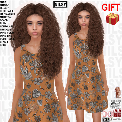 GIFT,FLARED PRINTED DRESS,cl&mesh body