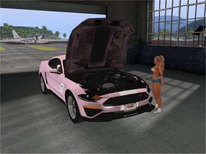 2019 Roush Stang {Bubblegum/White}