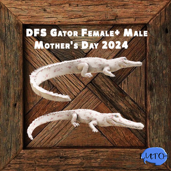 Second Life Marketplace - DFS Gator Female+ Male Mother's Day 2024