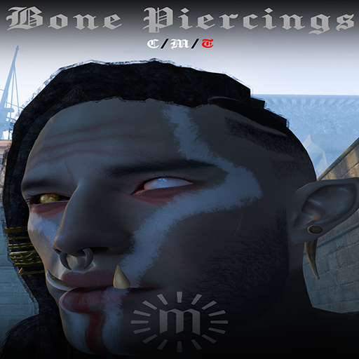 Bone Piercings