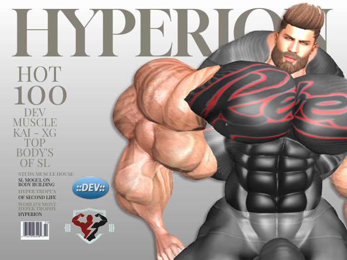 .::Hyperion::. - DEV - Rebels Stretch Shirt_Applier