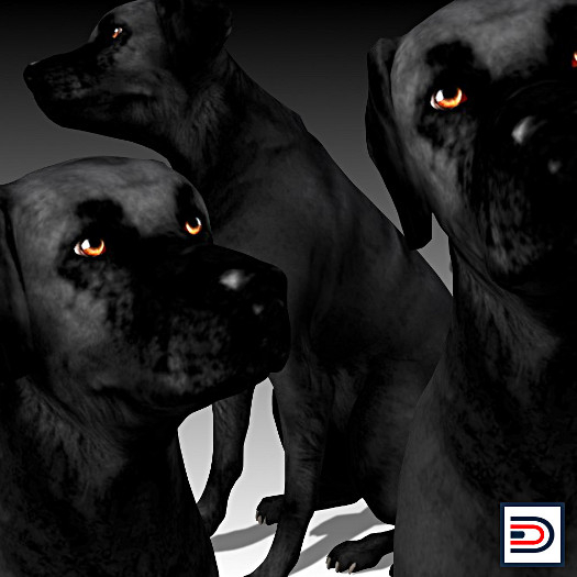 [Danielito] Black Labrador Dog