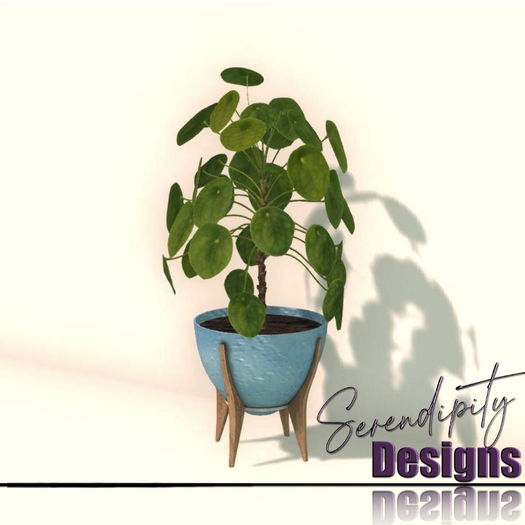Serendipity Designs - Hilton Head Planter