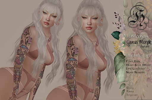 :: H4 // Genus  Maria Shape ::