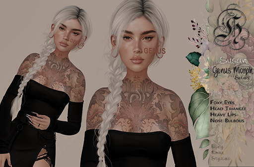 :: H4 // Genus Susan Shape ::