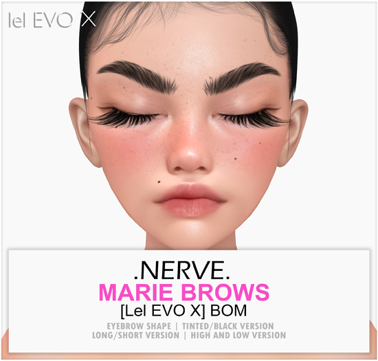 *Nerve* Marie brows - evox [unpack]