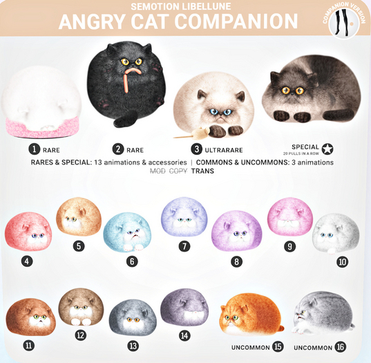 SEmotion Libellune Angry Cat Companion COMMON 14