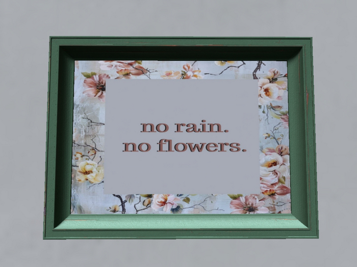 No Rain Boxed