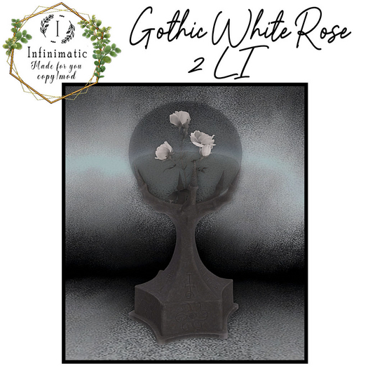 Gothic White Rose bagged
