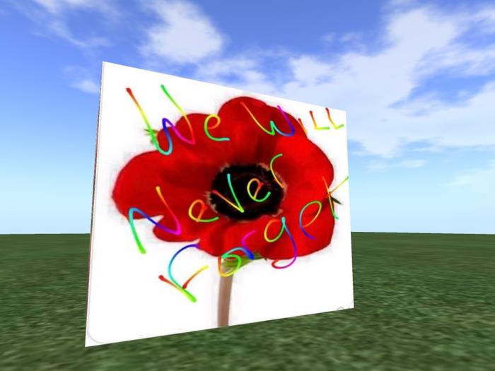 TM We Will Never Forget Poppy texture