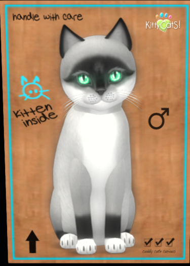 KittyCatS - Foxie - Salt & Pepper Mask