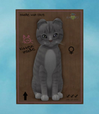 European Shorthair - London Fog - Tuscan