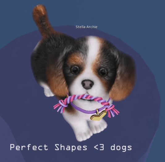 SEmotion Libellune Cavalier Puppy Companion ULTRARARE 03