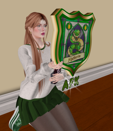 Kneeling shield AFK  Slytherin - BOX