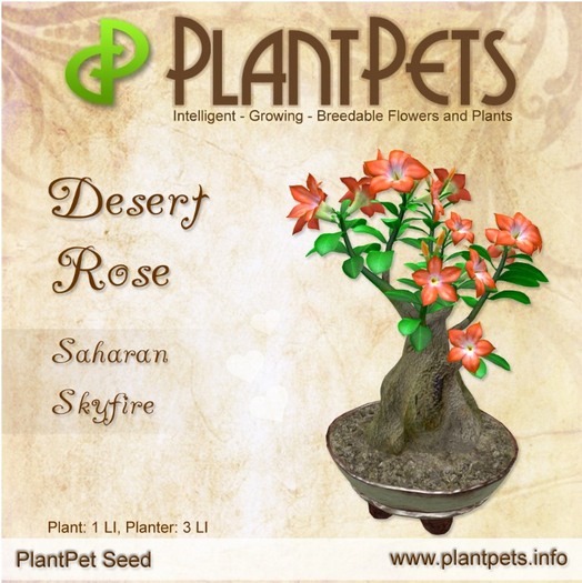 PlantPet Seed [Desert Rose *Saharan Skyfire*]