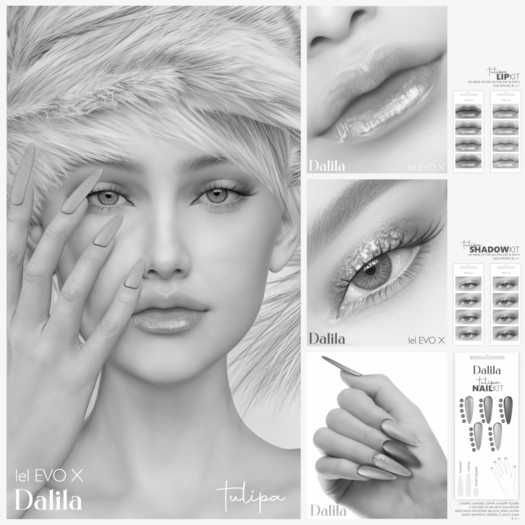 DEMO Dalila Tulipa Kit