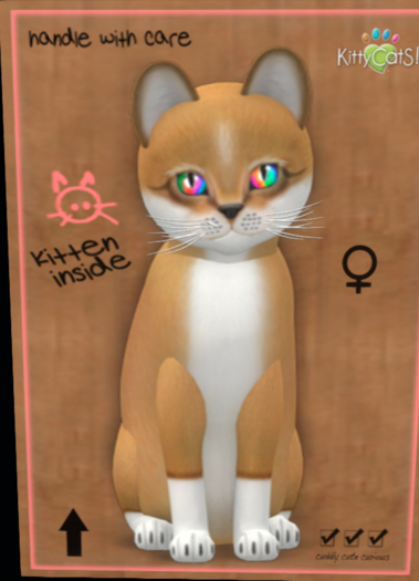 KittyCatS - Foxie - Blondie
