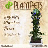 PlantPet Seed [Infinity Bamboo Rose *Blue Melody*]
