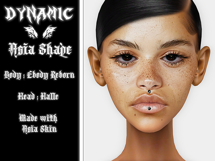 - D! - ASIA SHAPE [HALLE] [REBORN]