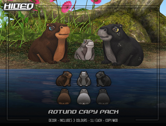 HILTED - Rotund Capy Pack